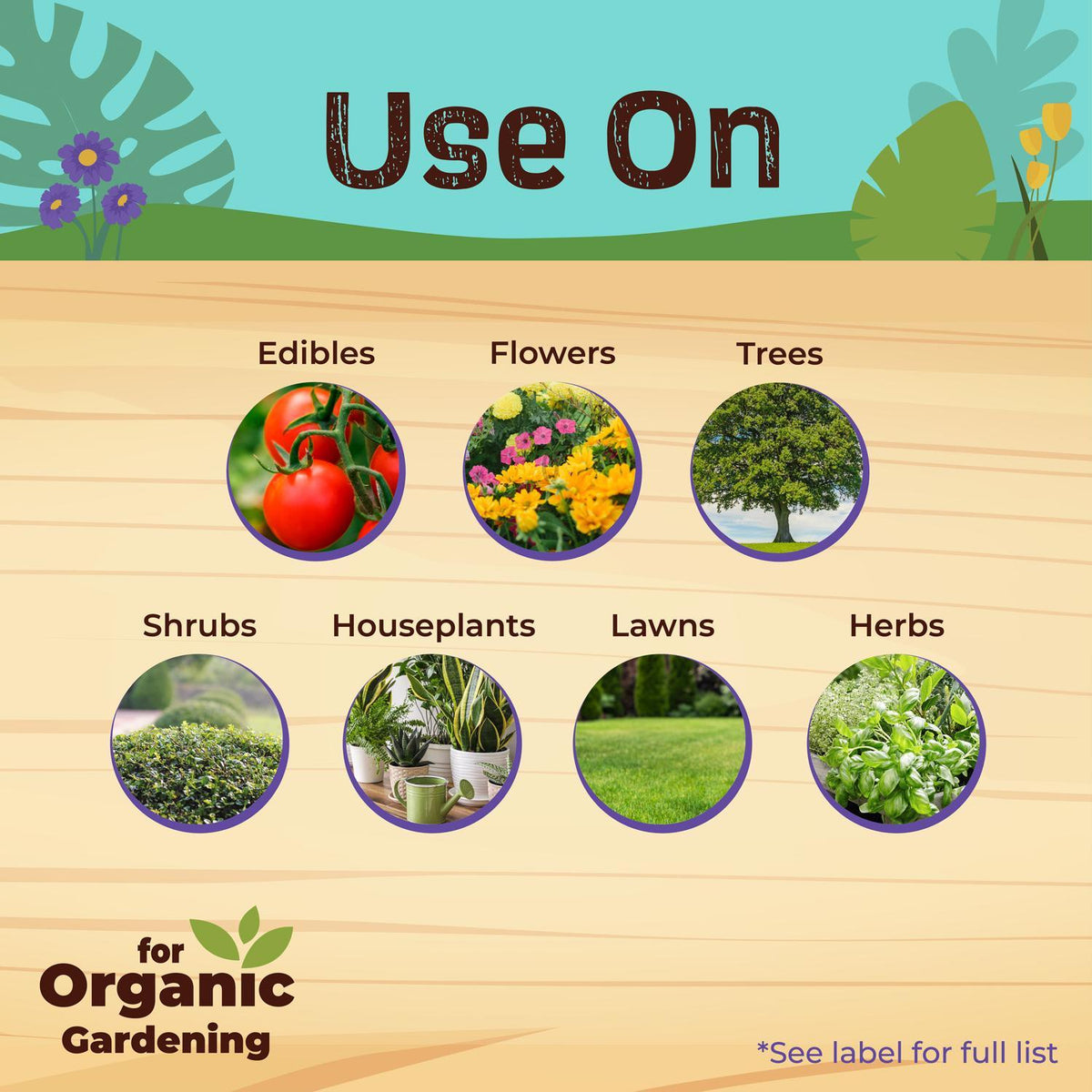 Bonide Captain Jack's Neem Oil Organic Liquid Concentrate Fungicide, Insecticide & Miticide, 16 oz