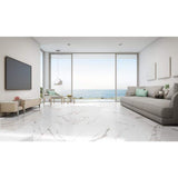 Ader Tegal 24 in. x 48 in. Polished Porcelain Floor and Wall Tile (16 sq. ft./Case)
