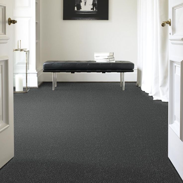 STAINMASTER PetProtect Baxter II Roll Over Textured Carpet (Indoor)