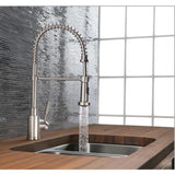 BLANCO Meridian Satin Nickel 1-Handle Deck-Mount Pre-rinse Handle Kitchen Faucet