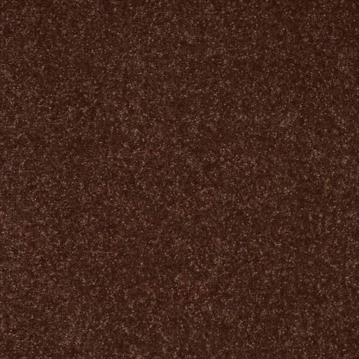 STAINMASTER Essentials Intuition III 12-ft Raisin Textured Carpet Sample (Interior)