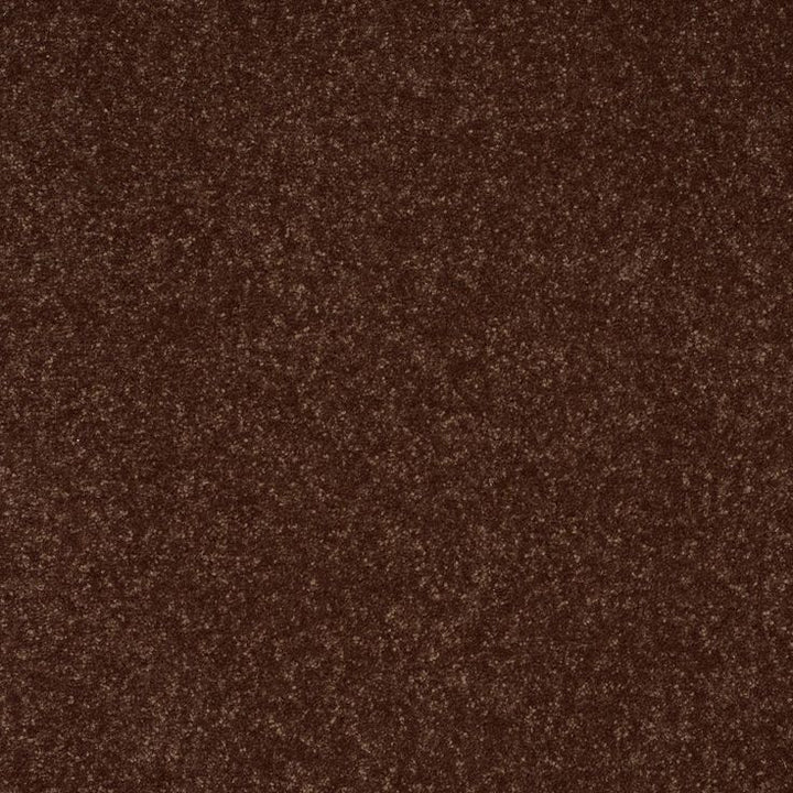 STAINMASTER Essentials Intuition III 12-ft Raisin Textured Carpet Sample (Interior)