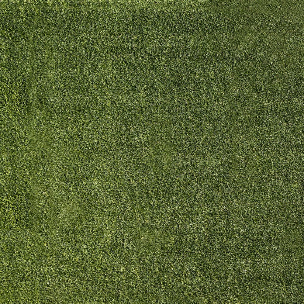 MSI Emerald Green Precut  6 ft. x 8 ft. x 38 mm Artificial Grass Turf Rug