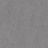 Marmoleum Cinch Loc Seal Eternity 9.8 mm T x 11.81 in. W x 11.81 in. L Laminate Flooring (6.78 sq. ft./case)
