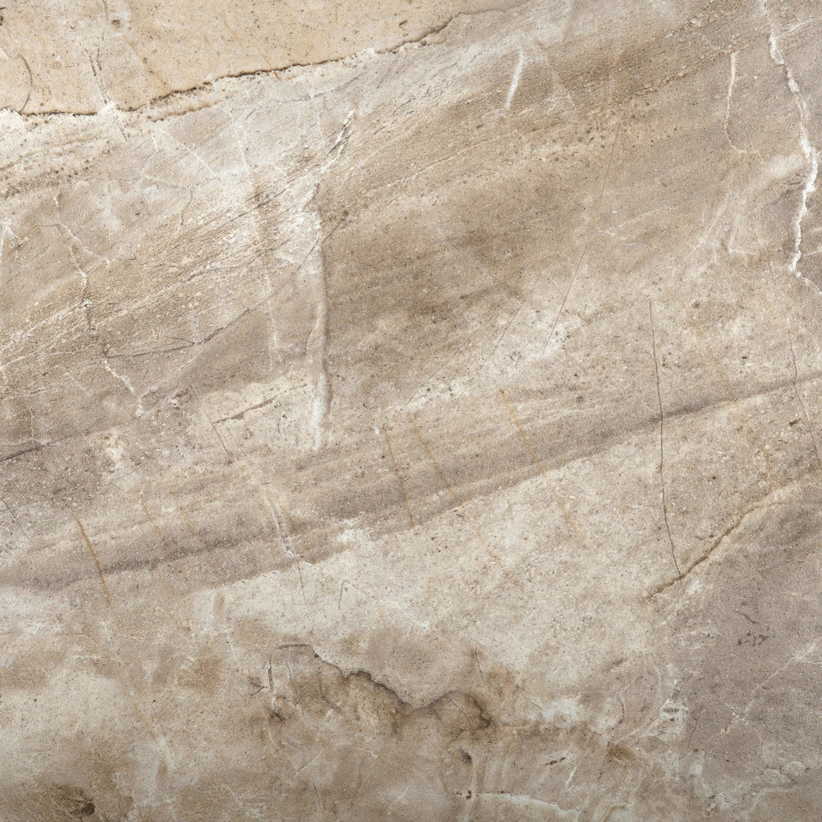 Emser Eurasia Cafe 6-in x 6-in Porcelain Tile Sample