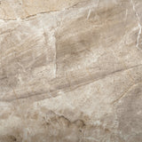 Emser EURASIA Cafe Porcelain Border Tile (13-in x 13-in)