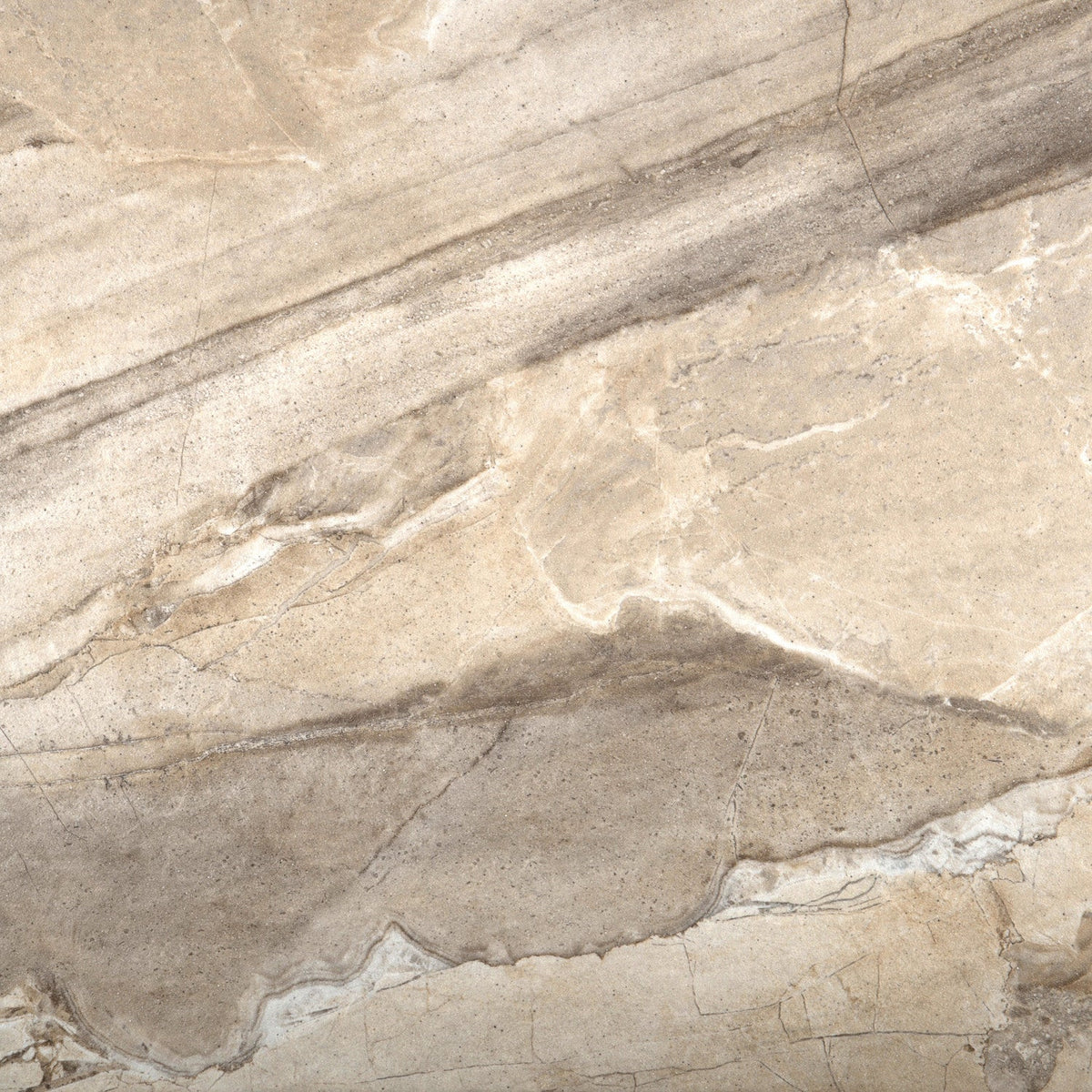 Emser Eurasia Cafe 6-in x 6-in Porcelain Tile Sample