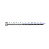 Eurotec 0.19 in. x 2.56 in. decking screw Tri-Deck-Tec TX20 Material#410 (1000-Pieces/bBx)