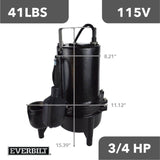 Everbilt 3/4 HP Sewage Ejector Pump, Cast Iron, 2 in. Solids Handling