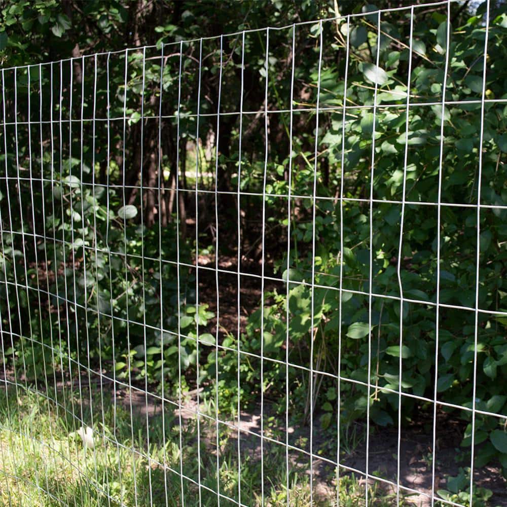 Everbilt 4 ft. x 50 ft. 14-Gauge Welded Wire