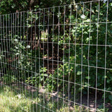 Everbilt 4 ft. x 50 ft. 14-Gauge Welded Wire