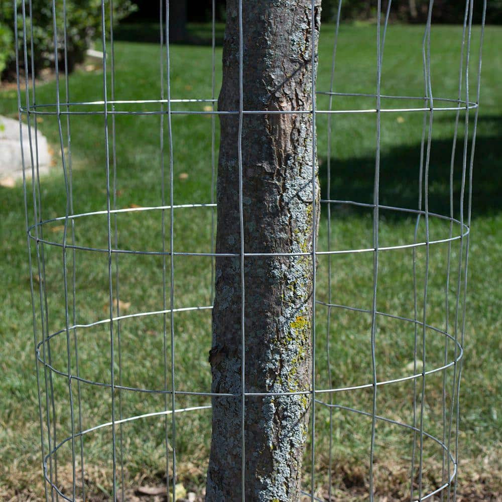 Everbilt 5 ft. x 100 ft. 14-Gauge Welded Wire