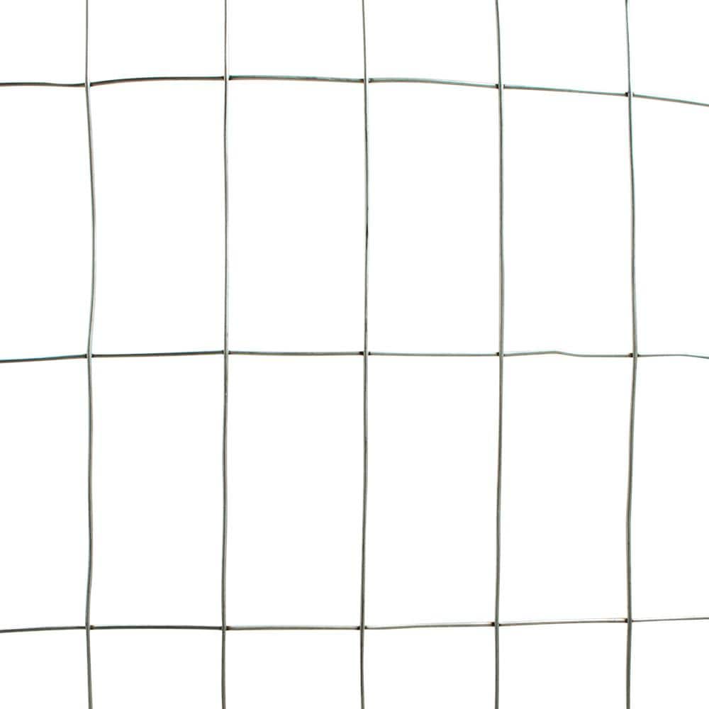 Everbilt 5 ft. x 100 ft. 14-Gauge Welded Wire