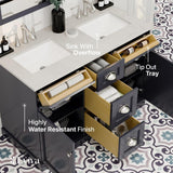 Eviva Epic 48 in. W x 22 in. D x 34 in. H Double Bathroom Vanity in Charcoal Gray with White Quartz Top and White Undermount Sinks