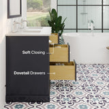 Eviva Epic 48 in. W x 22 in. D x 34 in. H Double Bathroom Vanity in Charcoal Gray with White Quartz Top and White Undermount Sinks