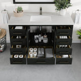 Eviva London 48 in. W x 18 in. D x 34 in. H Bathroom Vanity in Espresso with White Carrara Quartz Top with White Sink