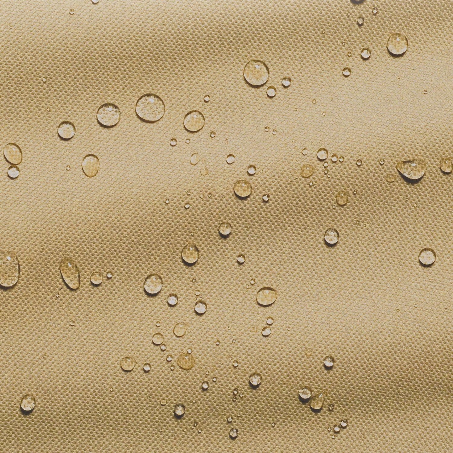 f0360678-1df4-4eba-927e-9cdd2ff92e1a_1.190bedb742be356815a48dd6f40ed905_-436018685.jpeg
