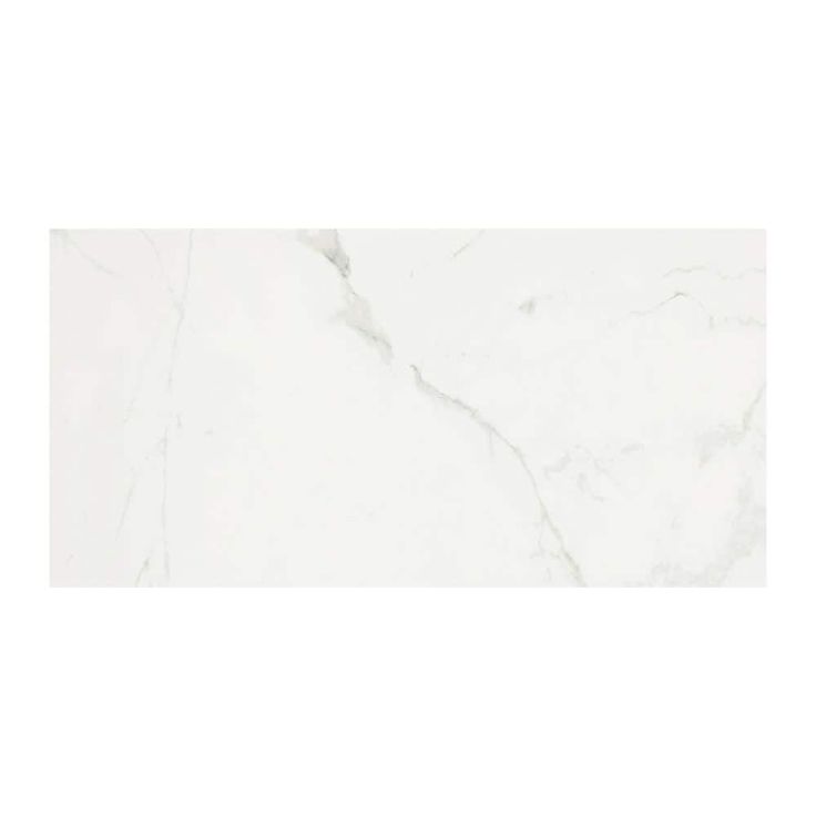 MSI 12 in. x 24 in. Carrara Polished Porcelain Floor and Wall Tile (16 sq. ft./case)