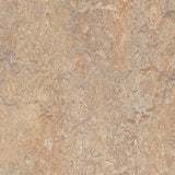 Forbo Flooring Systems Marmoleum Cinch Loc Seal Donkey Island 10-mm T x 12-in W x 12-in L Waterproof Tile Look Laminate Flooring (6.78-sq ft / Carton)