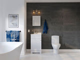Style Selections 15.25-in x 19.25-in Rectangle Surface Mirrored Medicine Cabinet