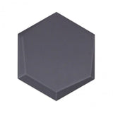 Magen Leveled-Hex Dark Gray Matte Ceramic Hexagon Tile