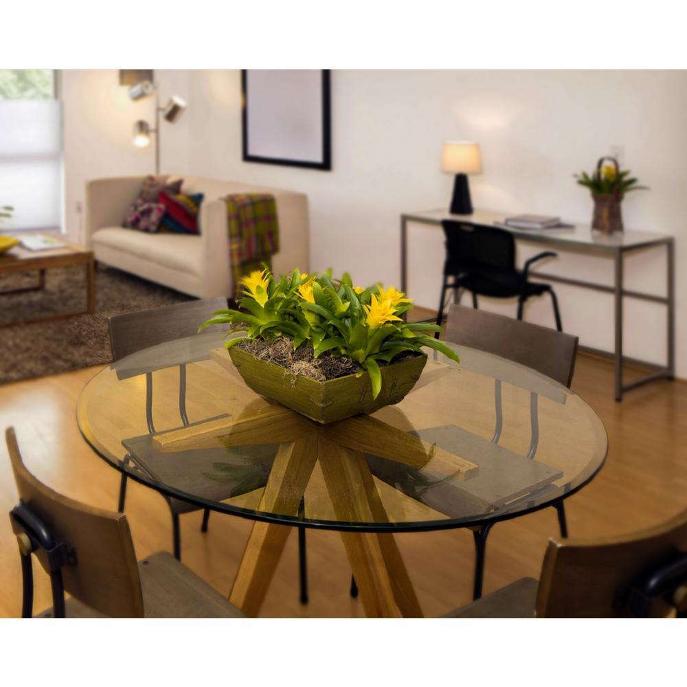36 in. Clear Round Glass Table Top, 3/8 in. Thickness Tempered Beveled Edge Polished - Super Arbor