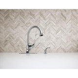 Trielle Single-Handle Pull-Down Sprayer Kitchen Faucet in Chrome - Super Arbor