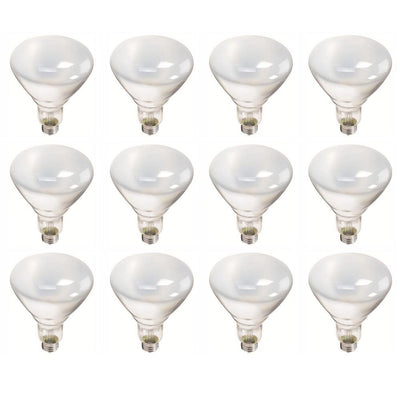 Philips 65-Watt BR40 Incandescent Flood Light Bulb Soft White (2700K) (12-Pack) - Super Arbor