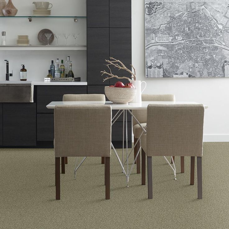 STAINMASTER PetProtect Baxter I Buddy Textured Carpet (Indoor)
