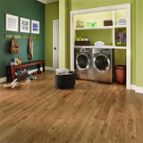 Armstrong American Home Golden Glaze 6 in. x 36 in. Glue Down Vinyl Plank (35.95 sq. ft. / carton) - Super Arbor