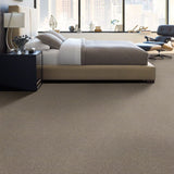 STAINMASTER Essentials Blue Diamonds II 12-ft Natural Contour Textured Carpet Sample (Interior)