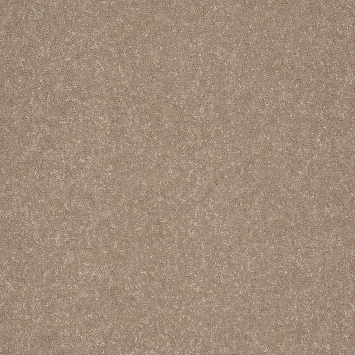 STAINMASTER Essentials Intuition III 12-ft Crisp Khaki Textured Carpet Sample (Interior)