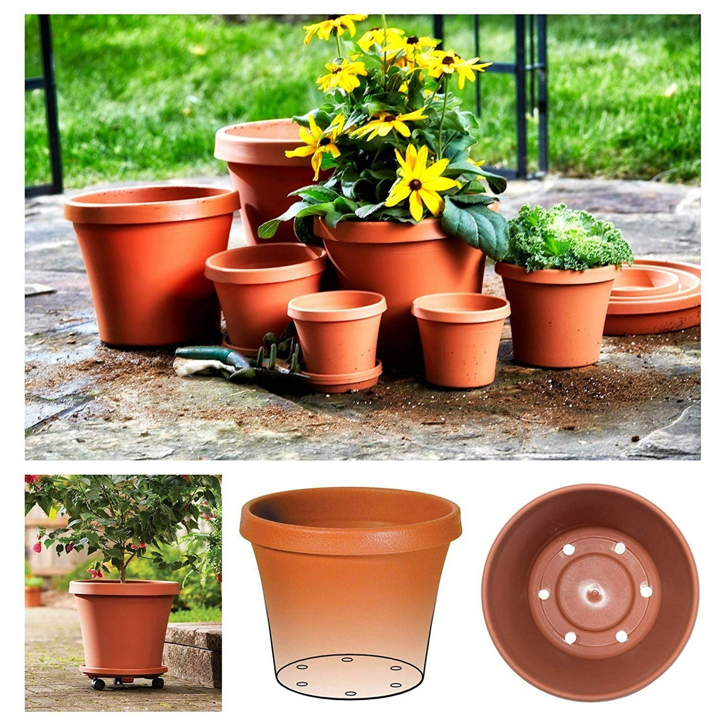 Bloem Terra Pot Planter 6" Terra Cotta