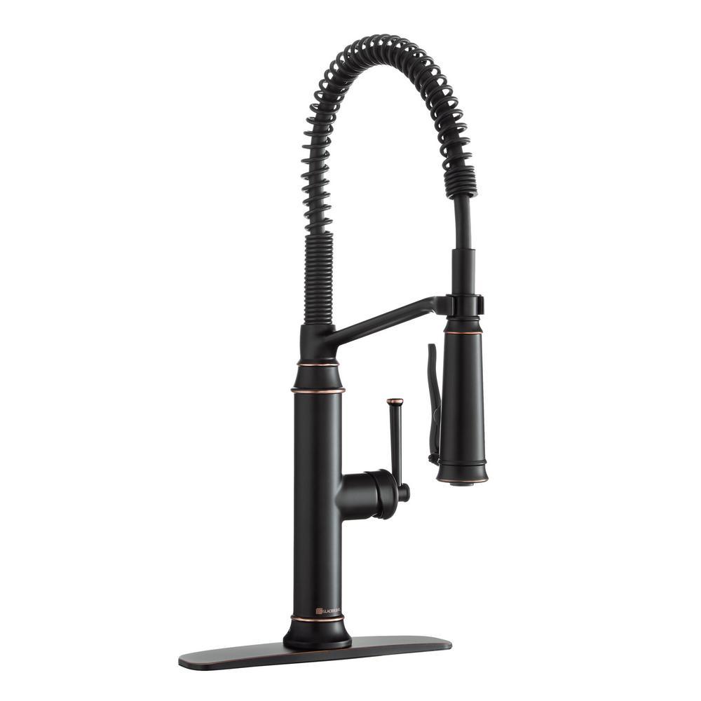 Linscott Single-Handle Coil Springneck Pull-Down Sprayer Kitchen Faucet in Matte Black - Super Arbor