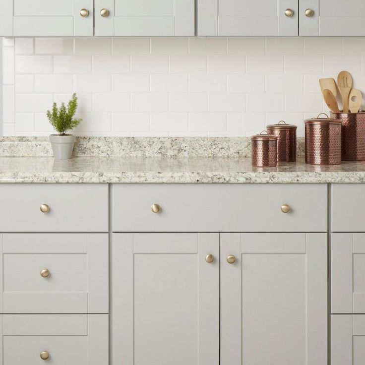 Domed 1-1/4 in. Champagne Classic Round Cabinet Knob (25-Pack)