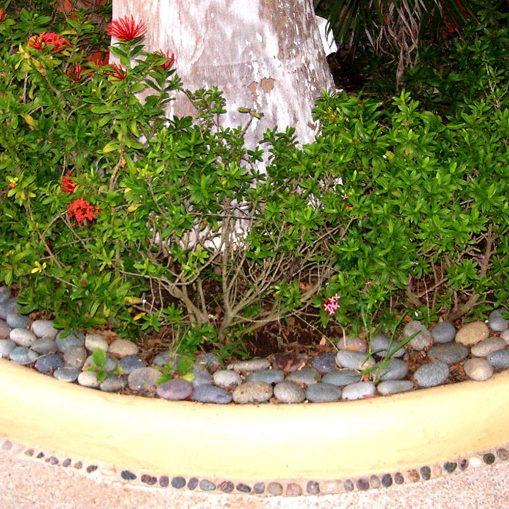 Mosser Lee 5 lb. Mixed River Stones - Super Arbor