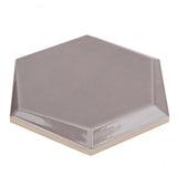 Magen Leveled-Hex Gray Polished Ceramic Hexagon Tile