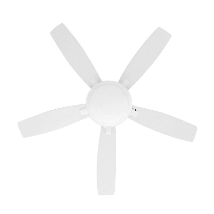 Roanoke 48 in. LED Indoor/Outdoor Matte White Ceiling Fan with Light Kit