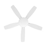 Roanoke 48 in. LED Indoor/Outdoor Matte White Ceiling Fan with Light Kit