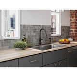 Arsdale Single-Handle Standard Kitchen Faucet with Swing Spout and Sidespray in Oil-Rubbed Bronze - Super Arbor