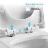 12 in. Rough-In 1-piece 1.1/ 1.6 GPF Dual Flush Round Siphonic Jet Toilet in White, Seat Included - Super Arbor