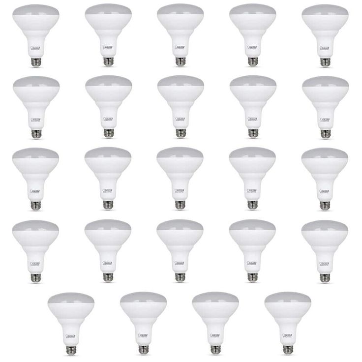 Feit Electric 65-Watt Equivalent (5000K) BR40 Dimmable LED Light Bulb, Daylight (24-Pack)