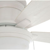 Roanoke 48 in. LED Indoor/Outdoor Matte White Ceiling Fan with Light Kit