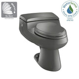 San Raphael Comfort Height 1-Piece 1.0 GPF Single Flush Elongated Toilet in Thunder Grey, Seat Included - Super Arbor