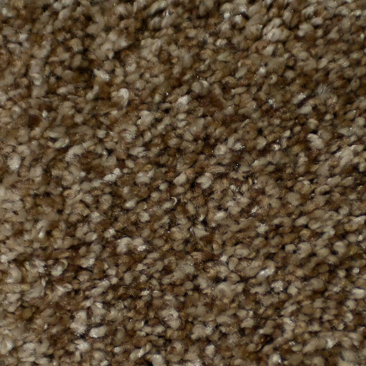 STAINMASTER Signature Documentary Montage Textured Carpet Sample (Interior)