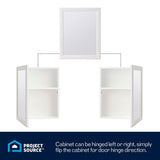 Style Selections 15.25-in x 19.25-in Rectangle Surface Mirrored Medicine Cabinet