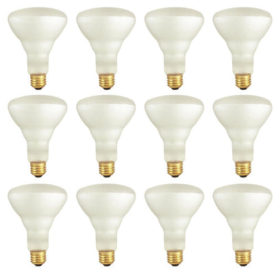 Bulbrite 65-Watt BR30 Frost Dimmable Warm White Light Incandescent Light Bulb (12-Pack) - Super Arbor
