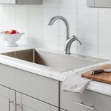Ginger Single-Handle Pull-Down Sprayer Kitchen Faucet in Brushed Nickel - Super Arbor
