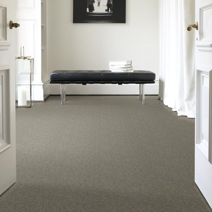 STAINMASTER PetProtect Baxter I Bentley Textured Carpet (Indoor)