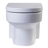 Wall Mount 1-Piece 0.8/1.6 GPF Dual Flush Elongated Toilet Bowl in White Seat Included - Super Arbor